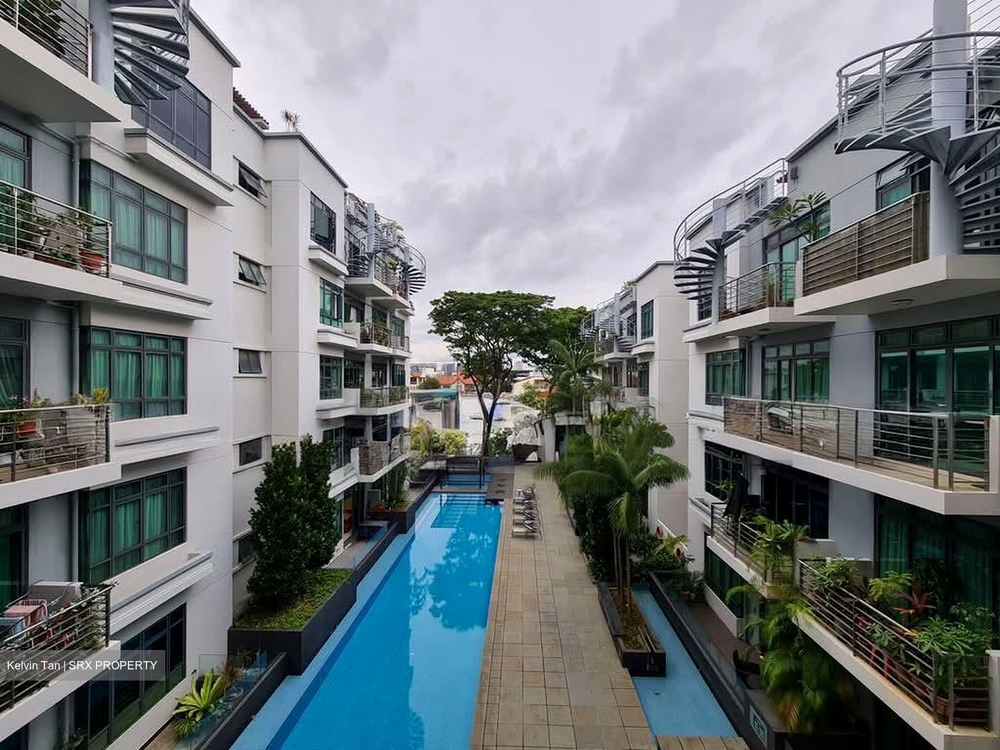 East Palm (D15), Apartment #577126881